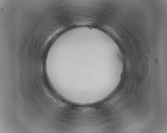 X0000069390539200606091719