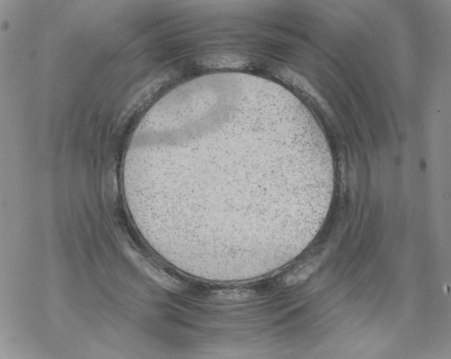 X0000069390541200606091719