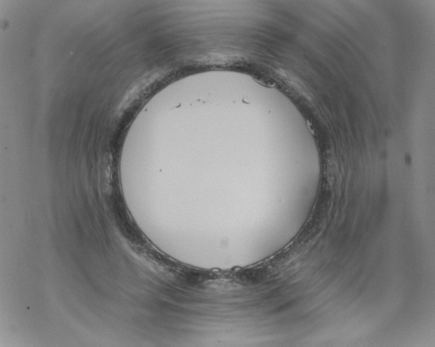 X0000069390544200606091719