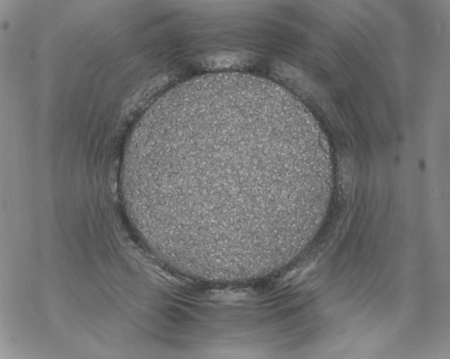 X0000069390545200606091719