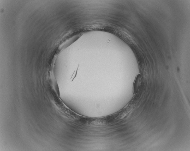 X0000069390546200606091719