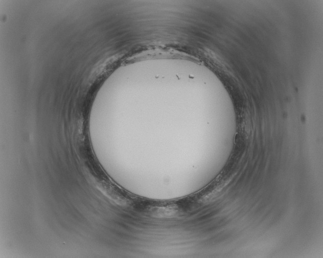 X0000069390548200606091719