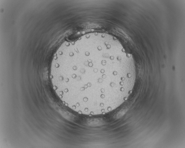 X0000069390549200606091719