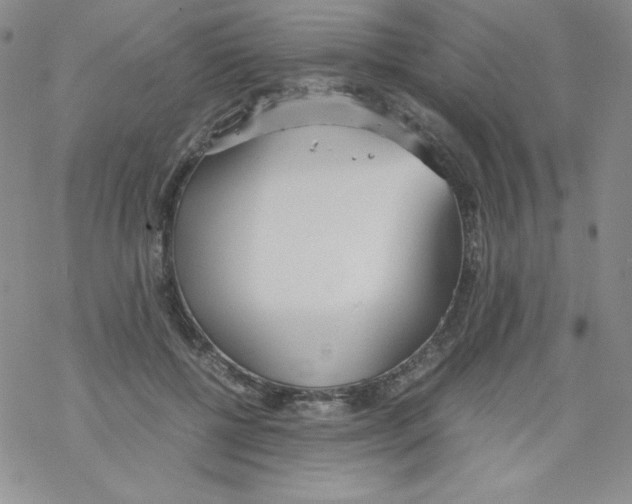 X0000069390552200606091719