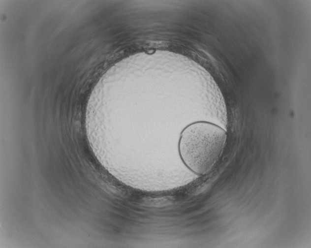 X0000069390553200606091719