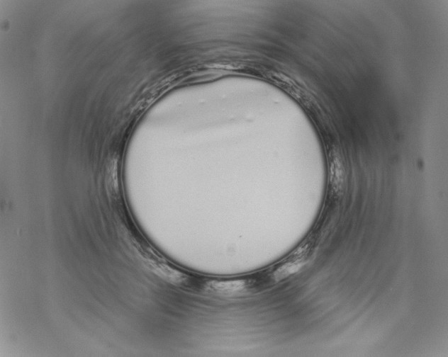 X0000069390554200606091719