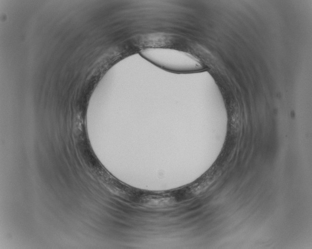 X0000069390555200606091719