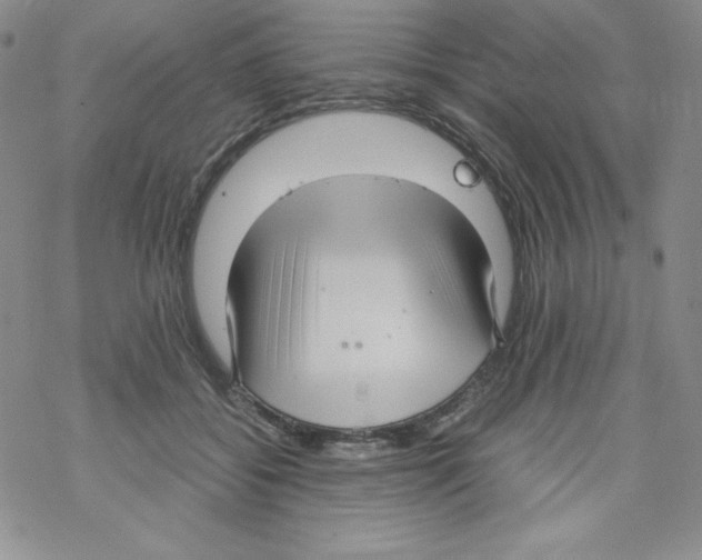 X0000069390556200606091719