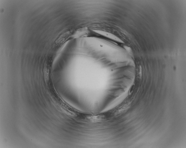 X0000069390558200606091719