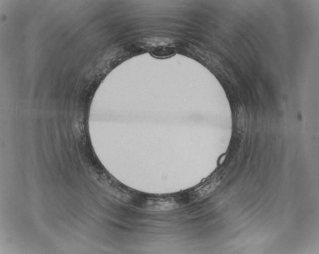 X0000069390559200606091719