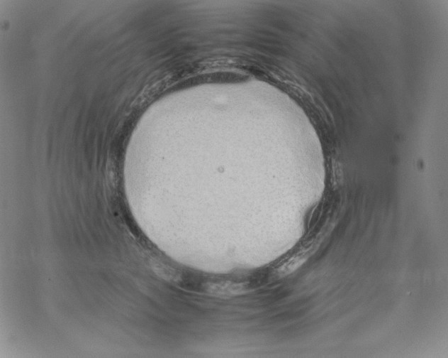 X0000069390561200606091719