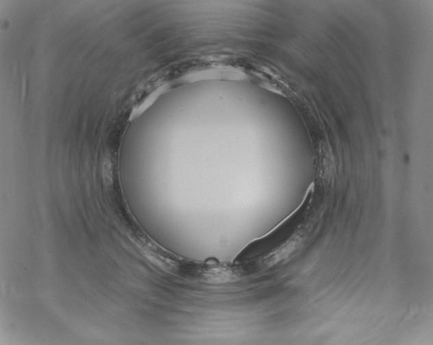 X0000069390562200606091719