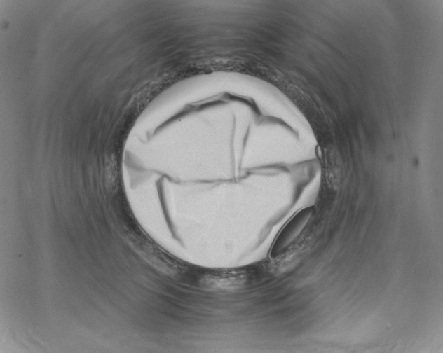 X0000069390563200606091719