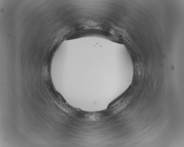 X0000069390564200606091719