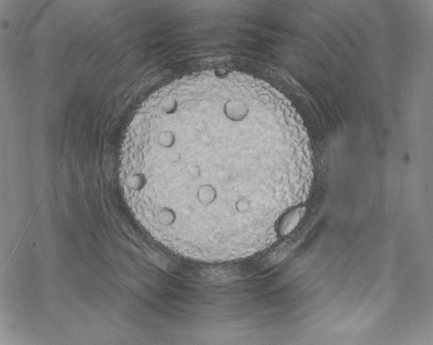 X0000069390565200606091719