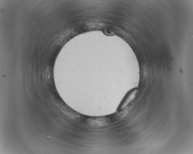 X0000069390567200606091719