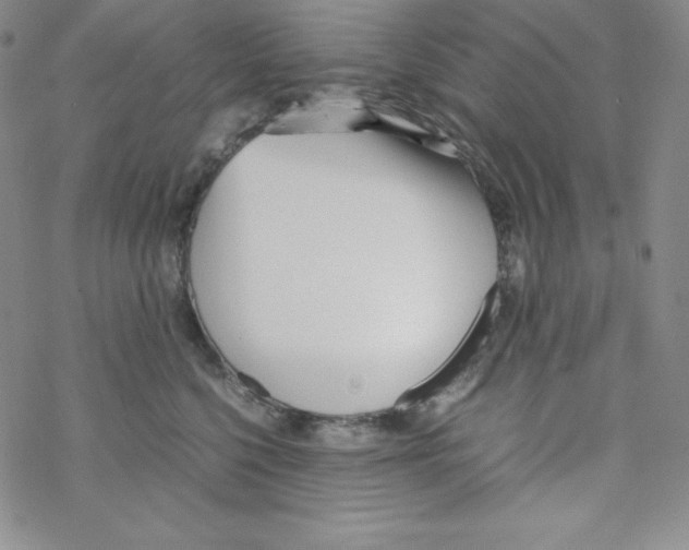 X0000069390568200606091719