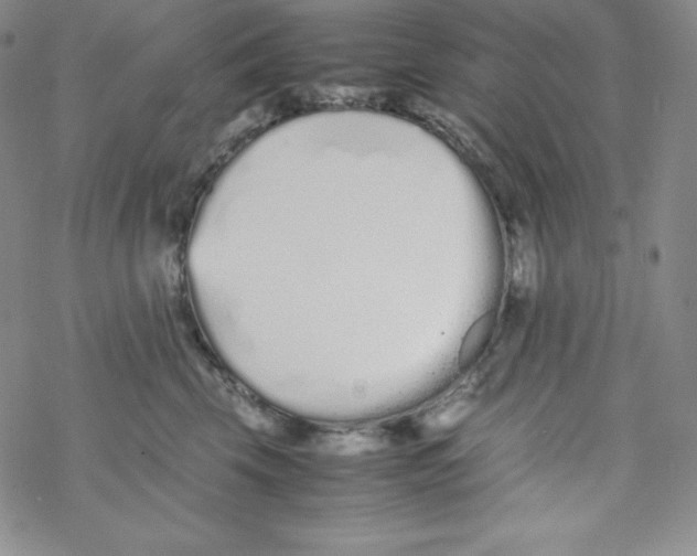 X0000069390569200606091719