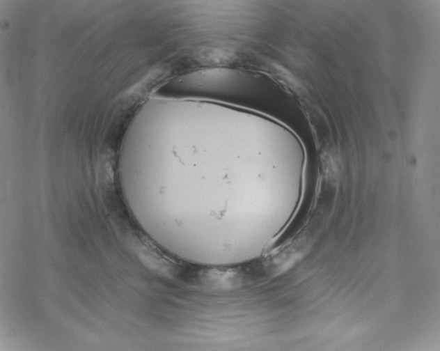 X0000069390570200606091719