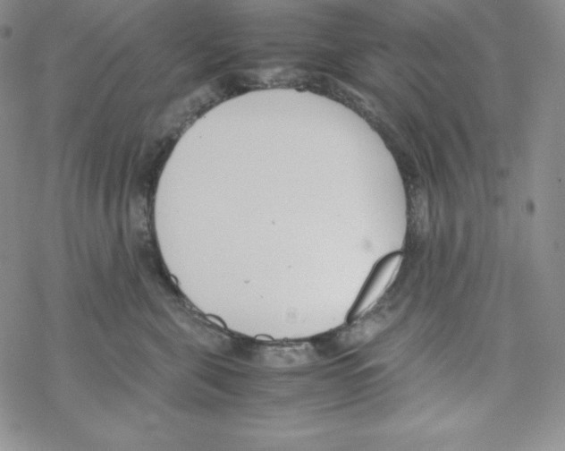 X0000069390571200606091719