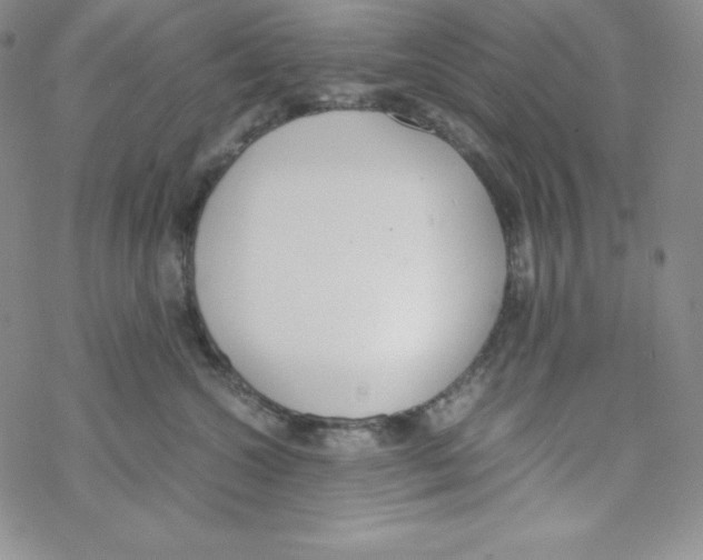 X0000069390572200606091719