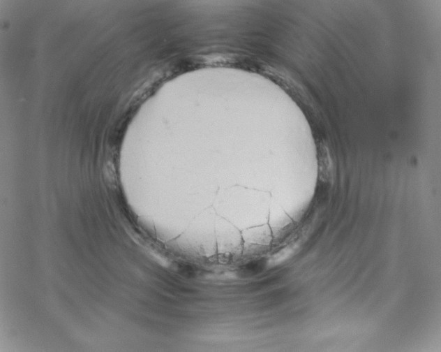 X0000069390573200606091719