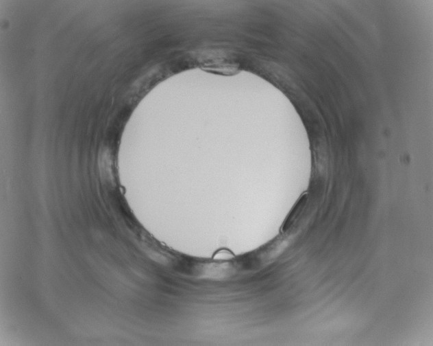 X0000069390575200606091719