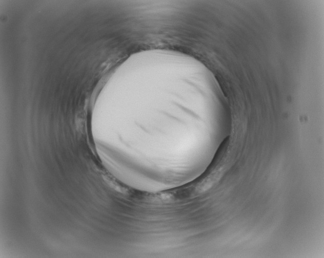 X0000069390576200606091719