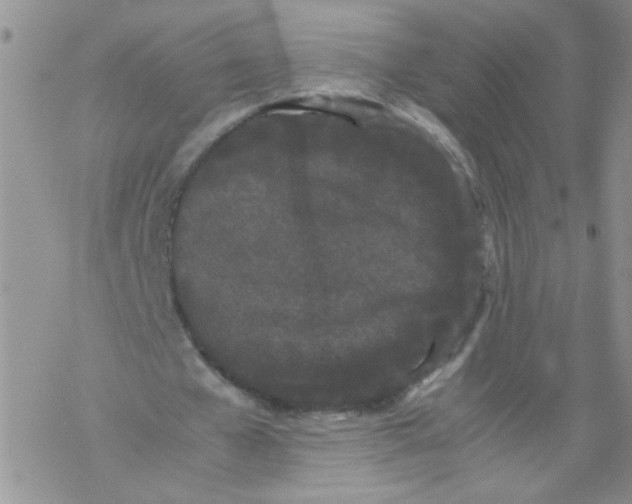 X0000069390577200606091719