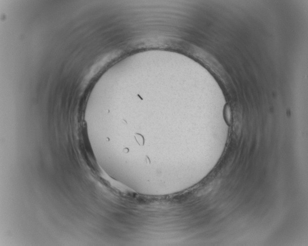 X0000069390578200606091719