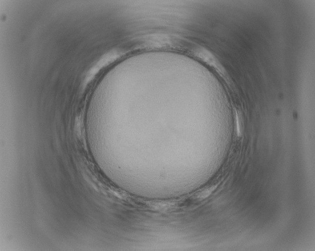 X0000069390579200606091719