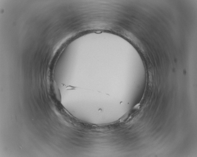 X0000069390580200606091719