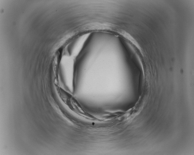 X0000069390581200606091719