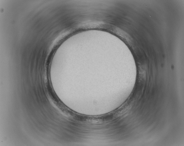 X0000069390582200606091719