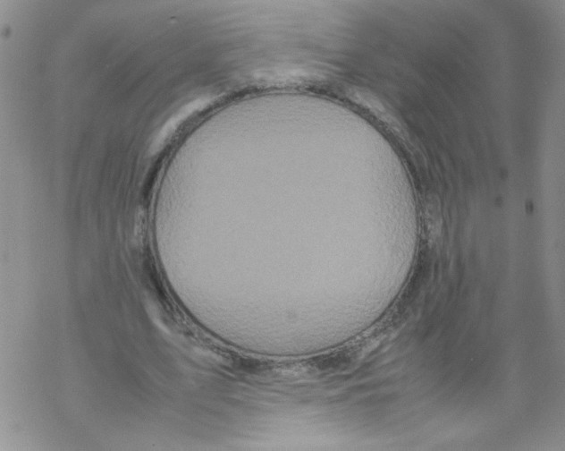 X0000069390583200606091719