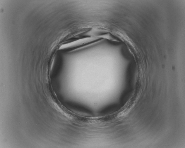 X0000069390585200606091719