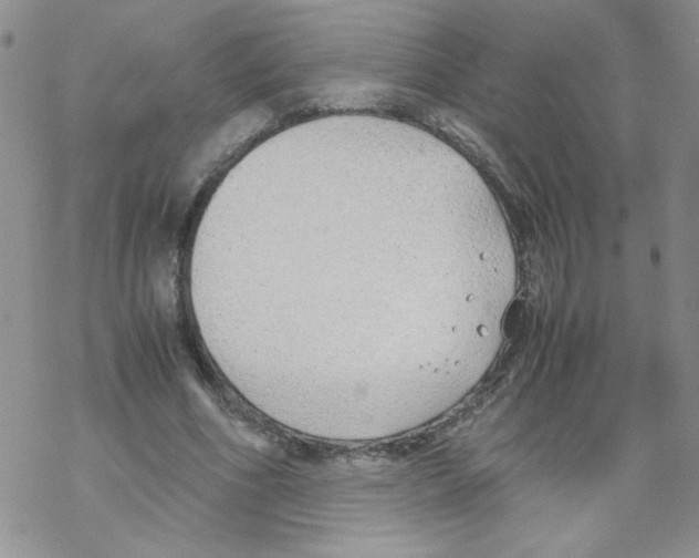 X0000069390586200606091719