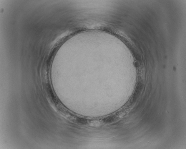 X0000069390587200606091719