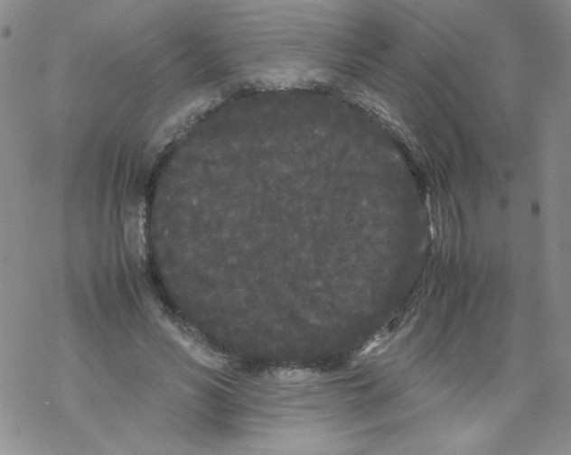 X0000069390590200606091718