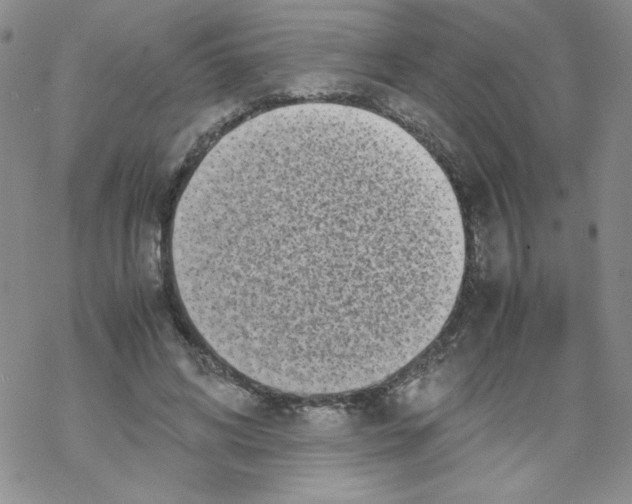 X0000069390592200606091718