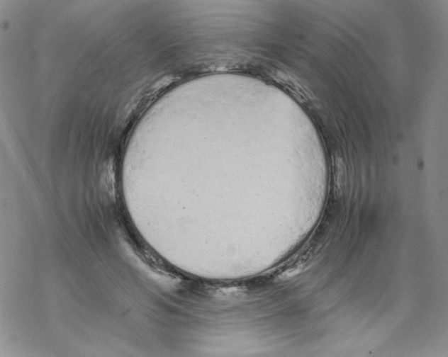 X0000069390594200606091718