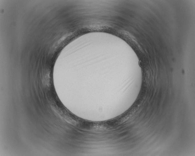 X0000069390596200606091718