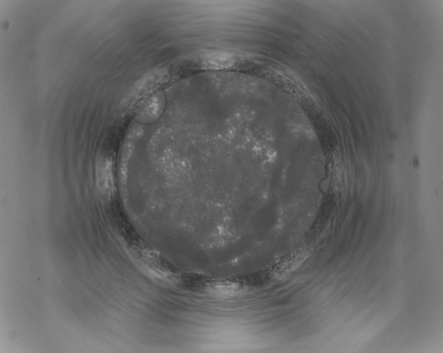 X0000069390598200606091718