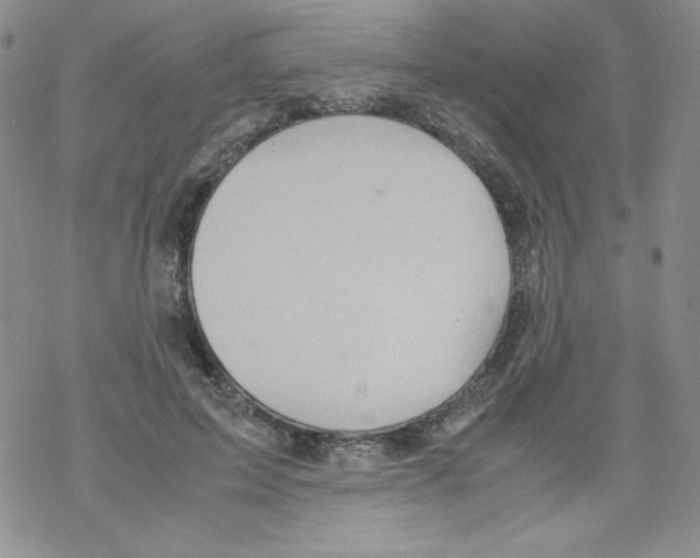 X0000069390599200606091718