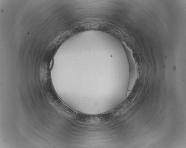 X0000069390600200606091718