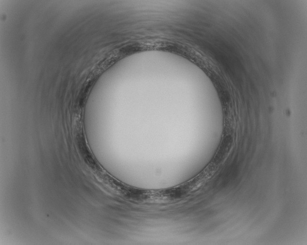 X0000069390601200606091718