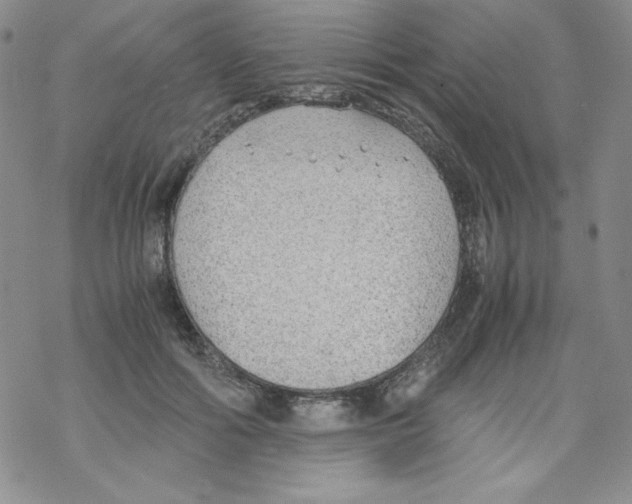 X0000069390602200606091718