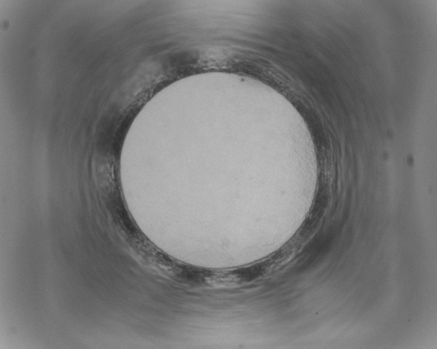 X0000069390603200606091718