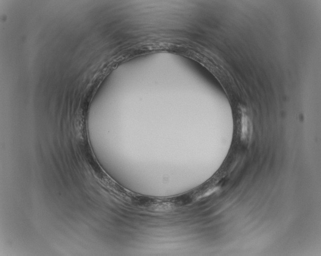 X0000069390604200606091718