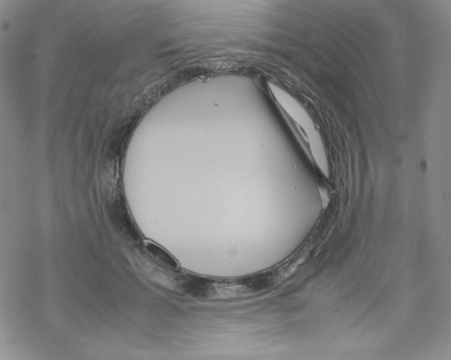 X0000069390605200606091718